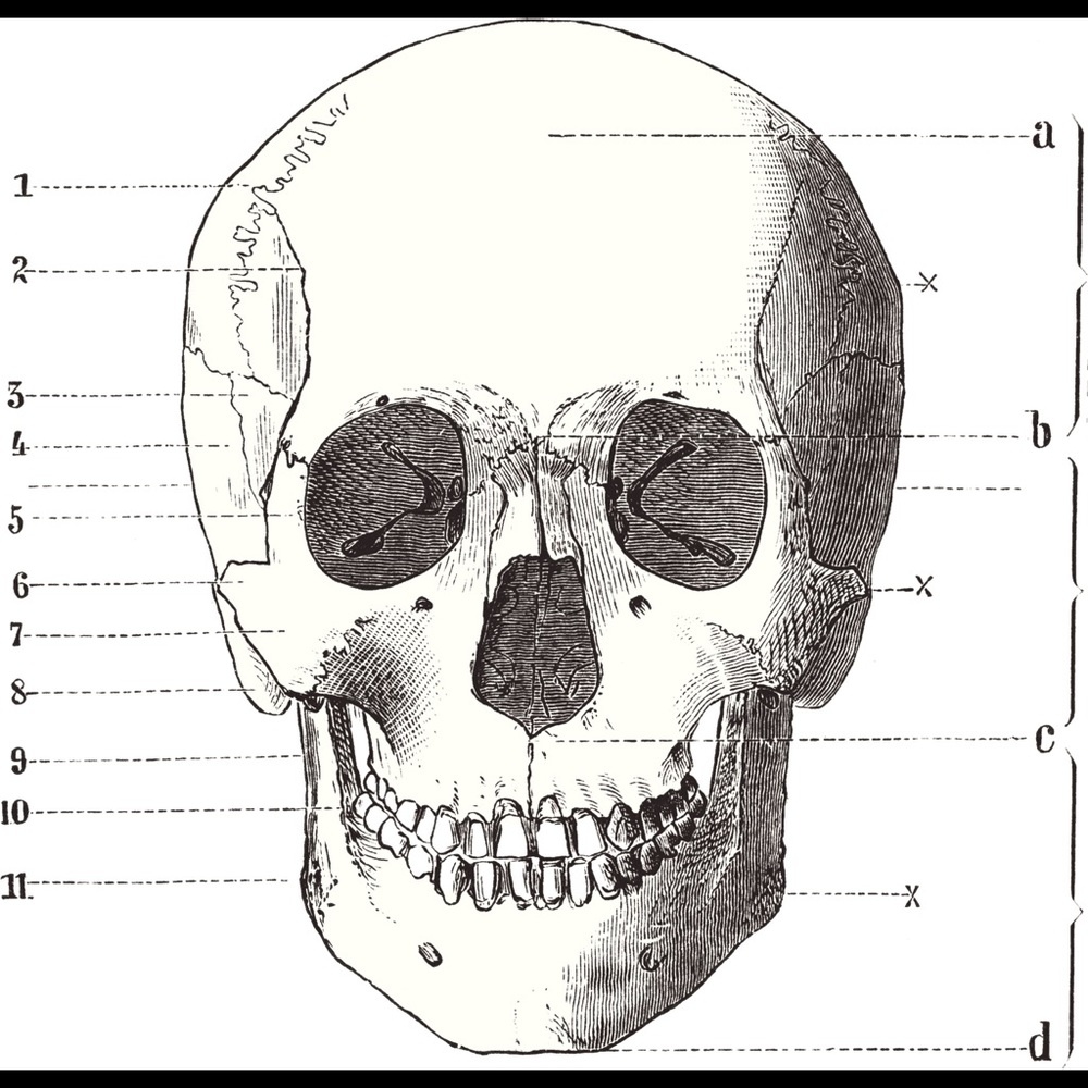 Meet your Posher, Dianna